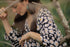 GET SPOTTED SHOP STOCKS BFM x LDG: Urduja Top and Loose Pants Set
